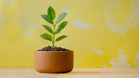 passive income airbnb pros