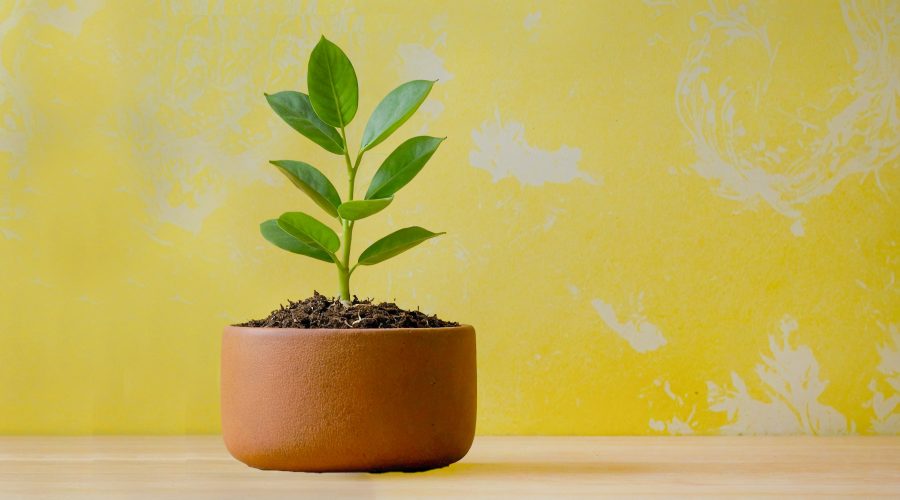 Its only passive income with the Pros